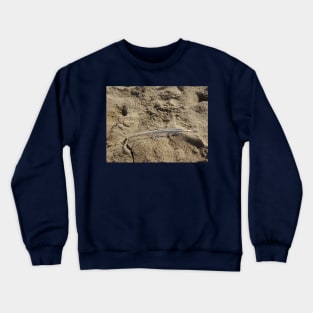 A seagull feather on the sand Crewneck Sweatshirt